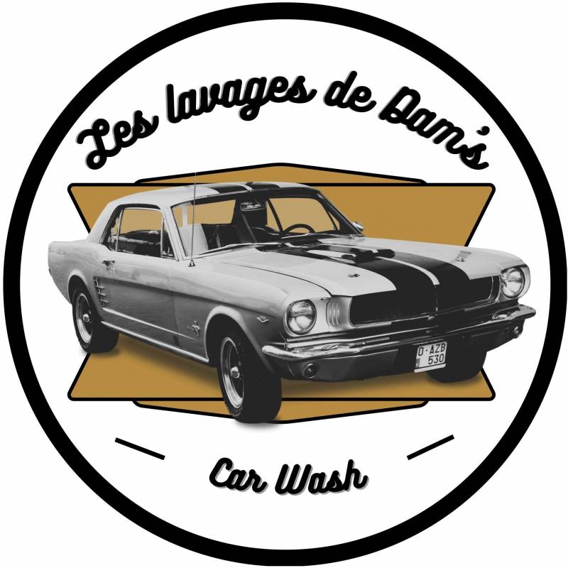 Nettoyage automatique à domicile Adissan Les Lavages de Dams